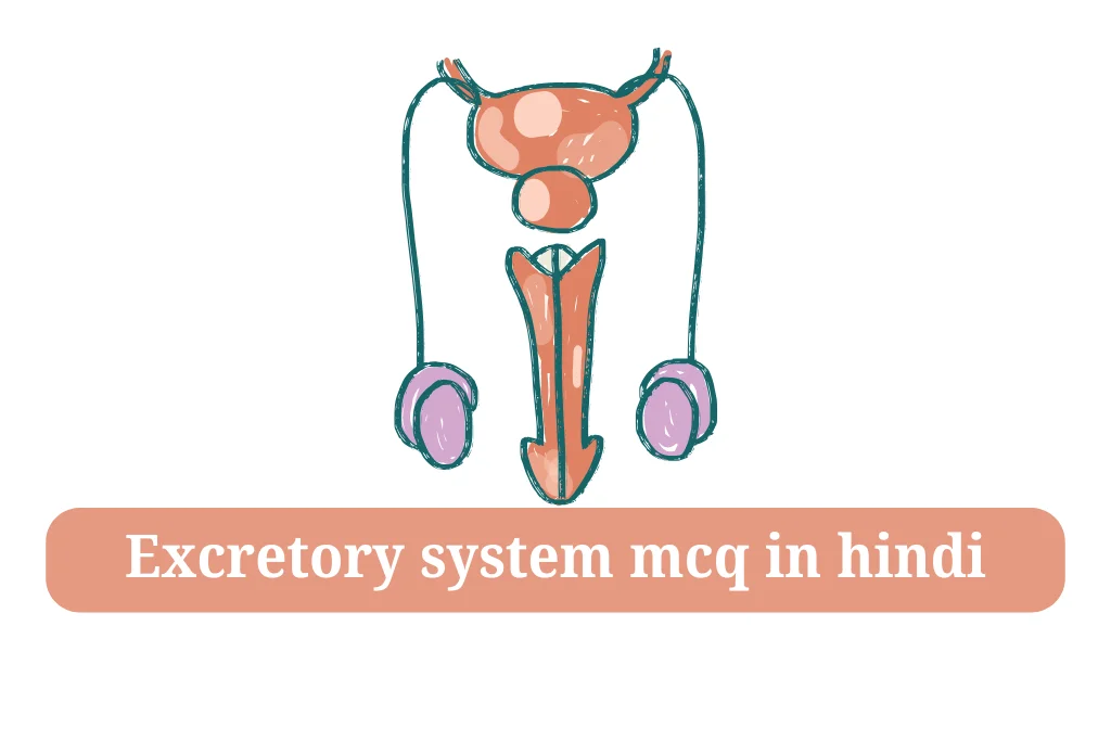 Excretory system mcq in hindi