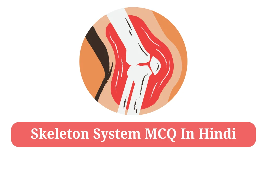 Skeleton System MCQ In Hindi